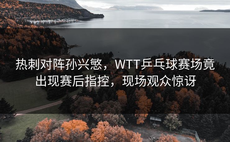 热刺对阵孙兴慜，WTT乒乓球赛场竟出现赛后指控，现场观众惊讶